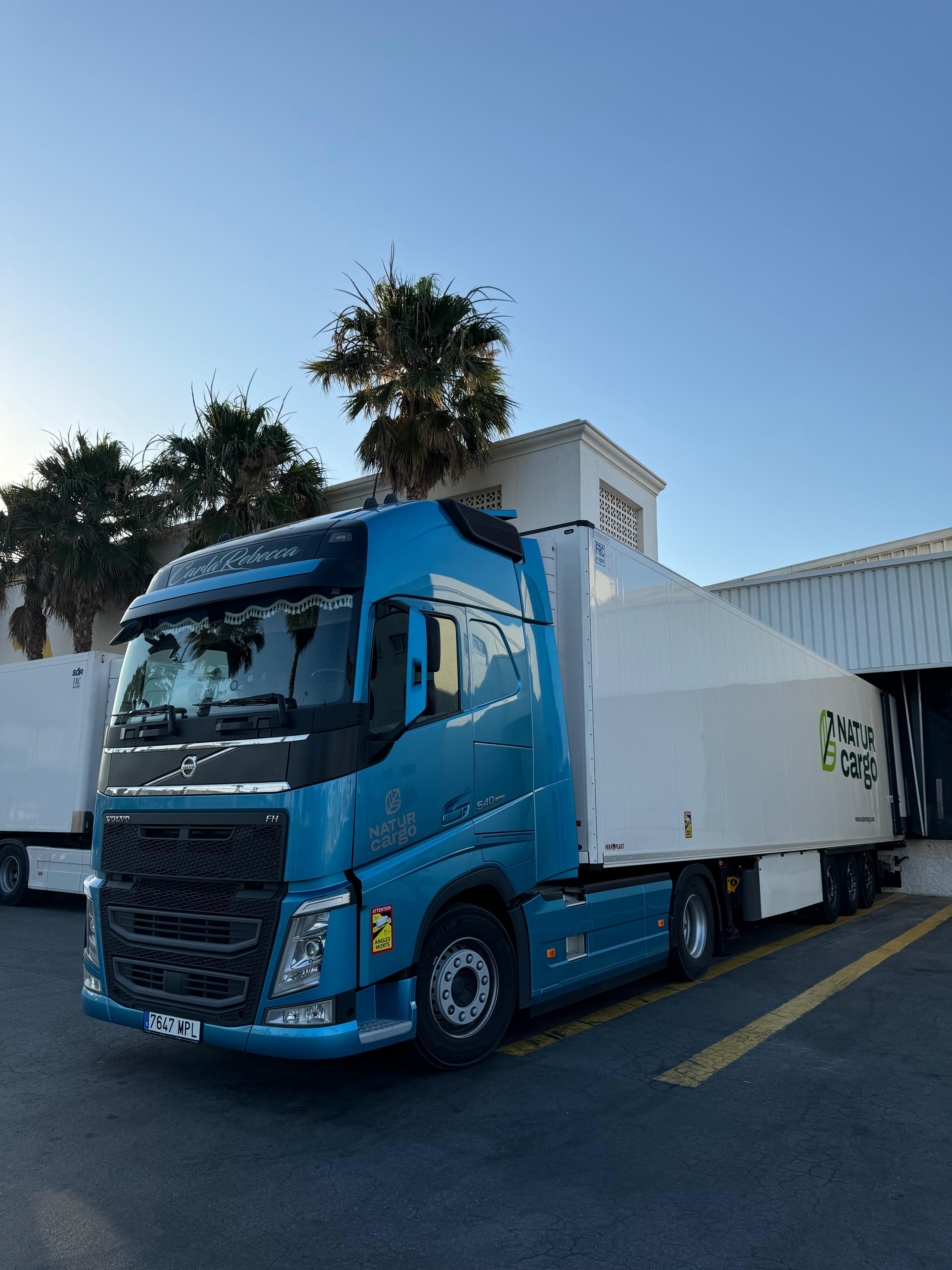 Camión azul NaturCargo en muelle de carga con palmeras
